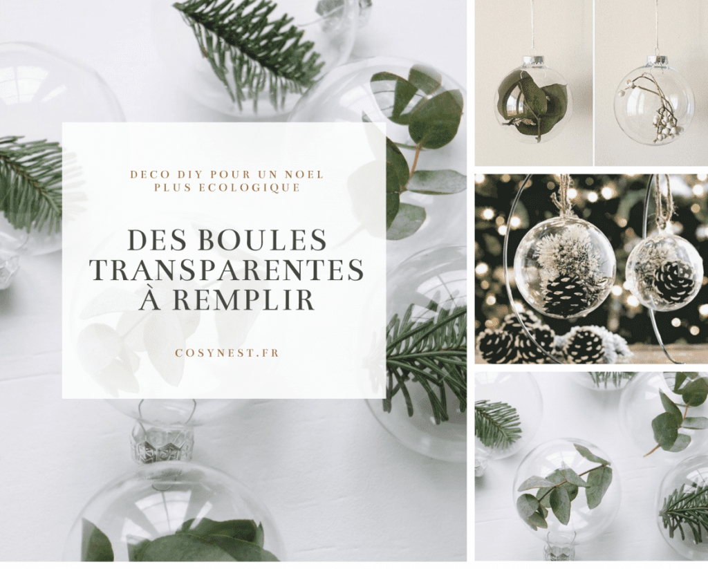 Boules de Noel transparentes