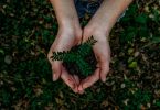 Ecolabels lead image - femme tenant une plante dans la forêt