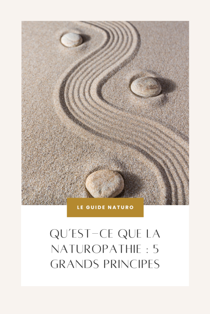 Qu'est-ce que la naturopathie : 5 grands principes - Le Guide Naturo