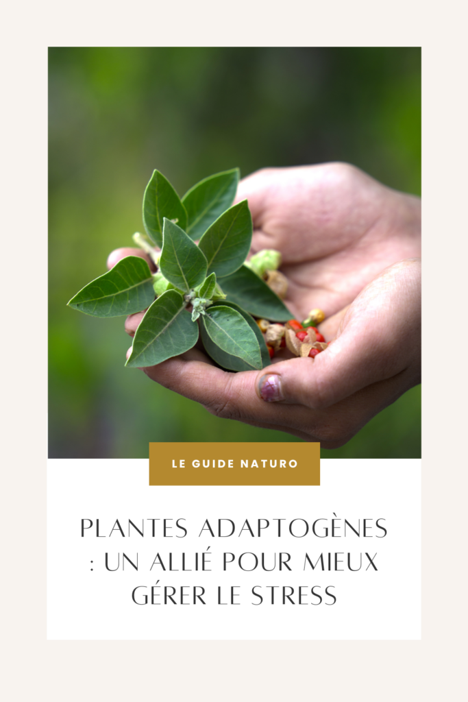 Plantes adaptogènes - Pinterest - Le Guide Naturo