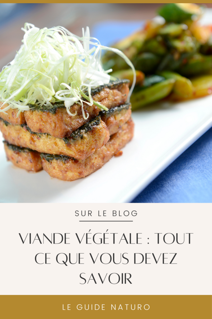 Viande végétale_ce que vous devez savoir_Le Guide Naturo